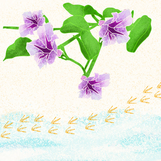 chinalek | flower (postcards)